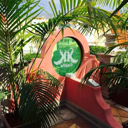 Rok Plaza (adults Only) דירה