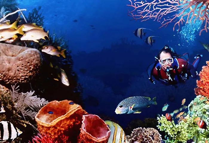 Rok Plaza (adults Only) Alcalá la Real