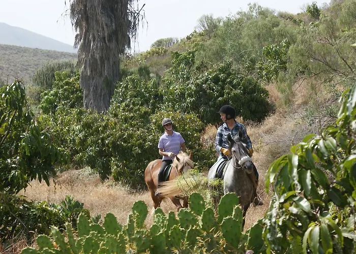 Rok Plaza (adults Only) * Alcalá la Real