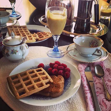 Rok Plaza (adults Only)