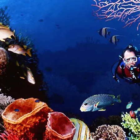 Rok Plaza (adults Only) Alcalá