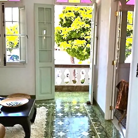 Rok Plaza (adults Only) *