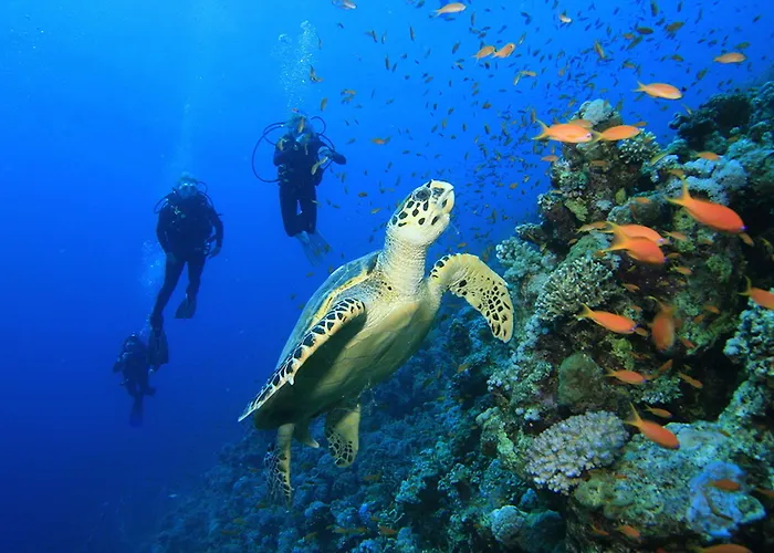 Apartmán Rok Plaza (adults Only) *